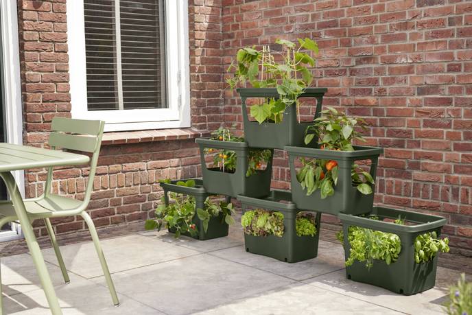 green basics stack & grow large blad groen